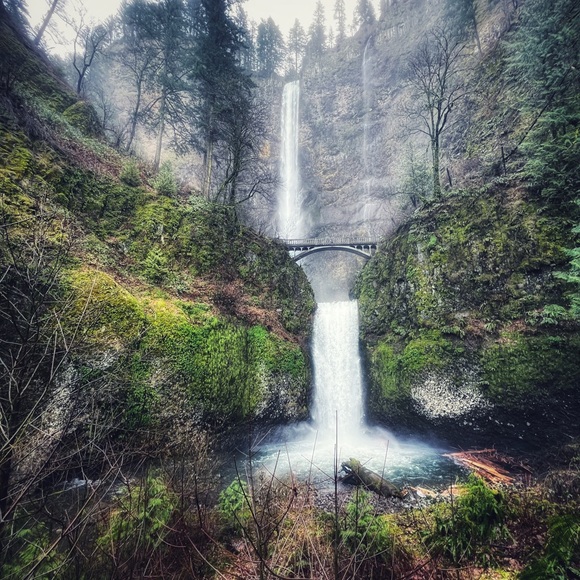 Meet your Posher, Brittney - Picture 7 of 7